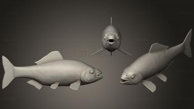 3D model Stylized Koi fish (STL)